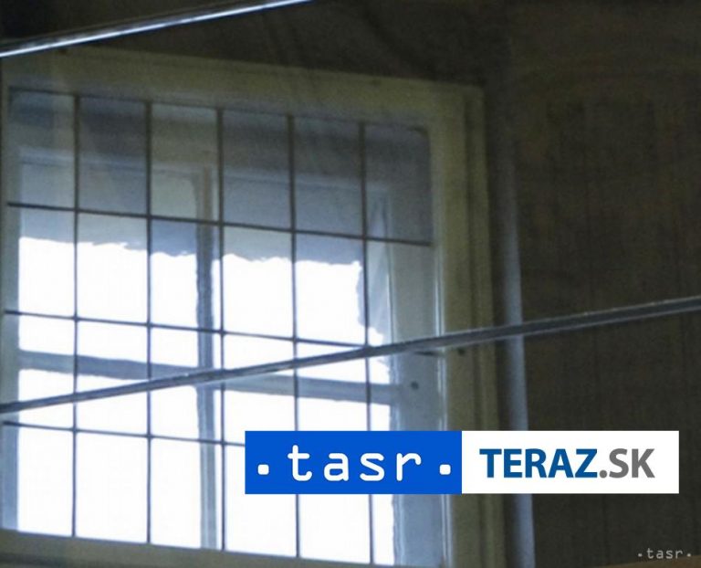 Väznený disident Kara-Murza mieri zo Sibíri do Moskvy, tvrdí jeho práv