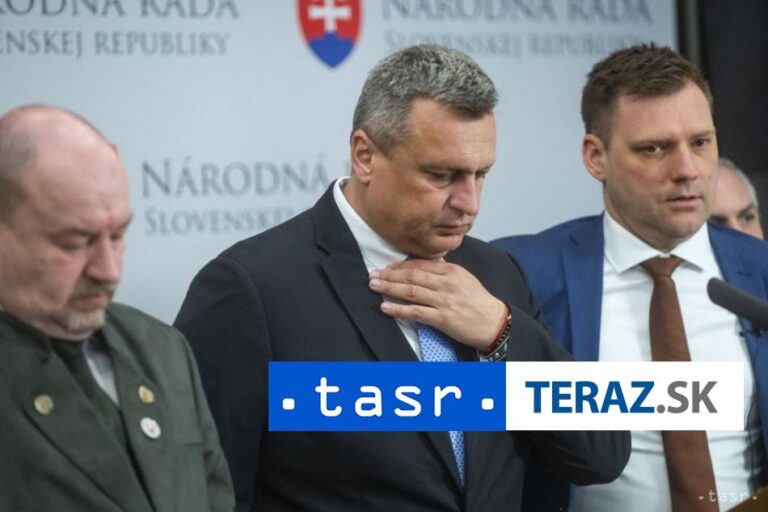 SNS je pripravená rokovať o fungovaní koalície do budúcna