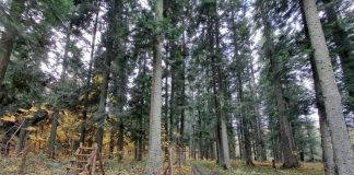 Studničku na trase Náučného chodníka Žakýlske pleso v Podhorí obnovili