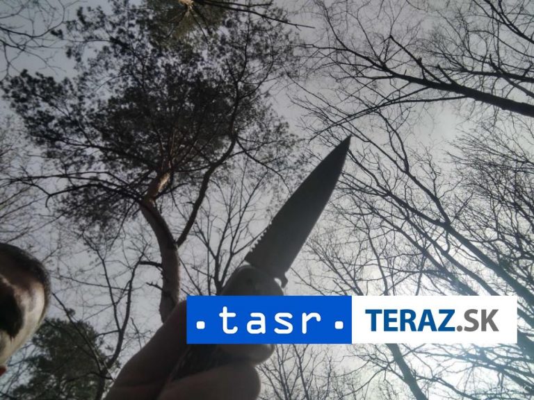 Muž, ktorý v Marseille útočil nožom, nebol islamistický radikál