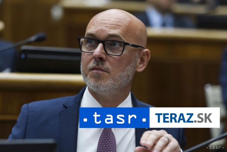 NAŽIVO: TK strany SaS