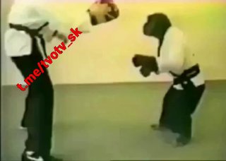 Kung-Fu-Monkey.jpeg