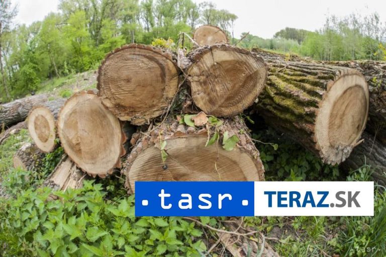 Okresný úrad priznal pochybenie pri žiadosti Lamača o výrub stromov