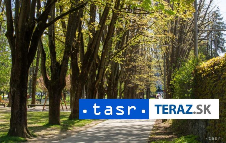 Počas leta prebiehajú v žiarskom parku viaceré práce