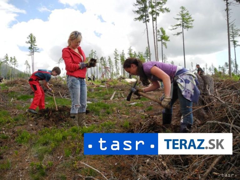 V uplynulých mesiacoch v Novej Bani vysádzali nové sadenice
