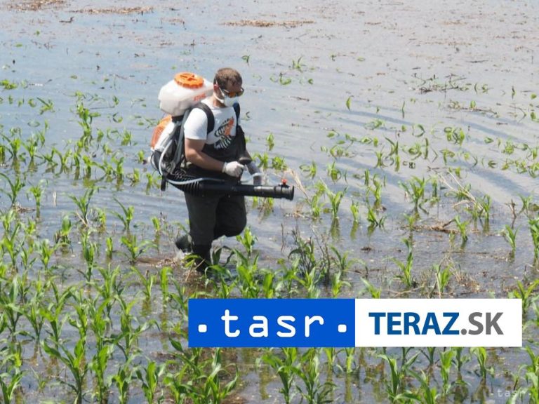 Brazília zaznamenala prvé úmrtie v prípade nakazenia vírusom oropouche