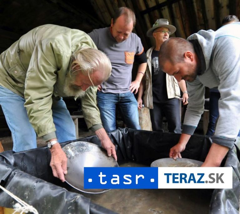 Na výstave v Banskej Bystrici si možno vyskúšať ryžovanie zlata