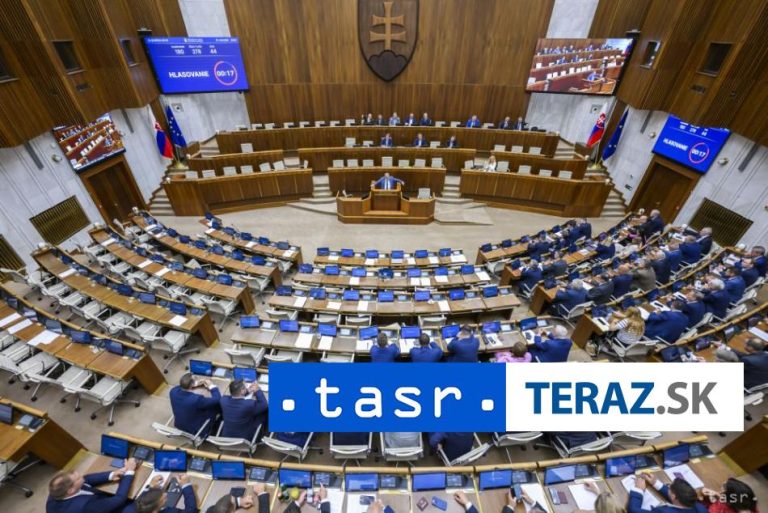 Do parlamentu nastúpia za europoslancov za Smer-SD Horváth a Kačmár