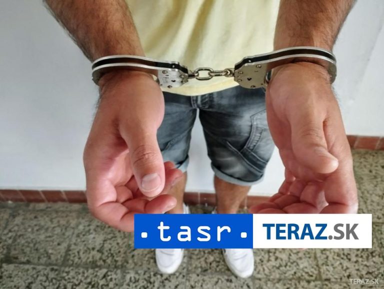 V rámci akcie proti prevádzačstvu v Severnom Írsku zatkli vyše 30 ľudí