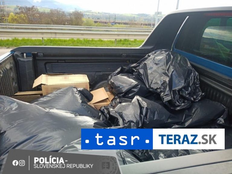 ULOVENÁ MEDVEDICA: Češka šelmu rozrezala a smerovala k hraniciam