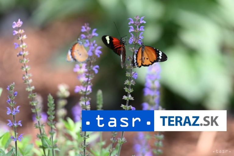 Mesto Turčianske Teplice chce obnoviť záhradu pri Galérii M. Galandu