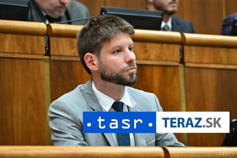 Šimečka rešpektuje ÚS, ale mrzí ho, že vláda dosiahla svoj zámer