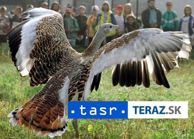 Transformáciou záchrannej stanice V Zemianskej Olči vzniklo ekocentrum