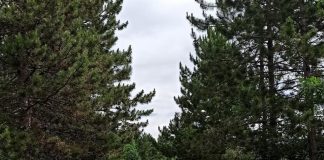 V Slovenskom raji pribudla nová atrakcia v podobe obrov