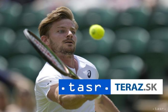 Goffin-nastupi-vo-stvrtfinale-vo-Winston-Saleme-proti-Hijikatovi.jpg