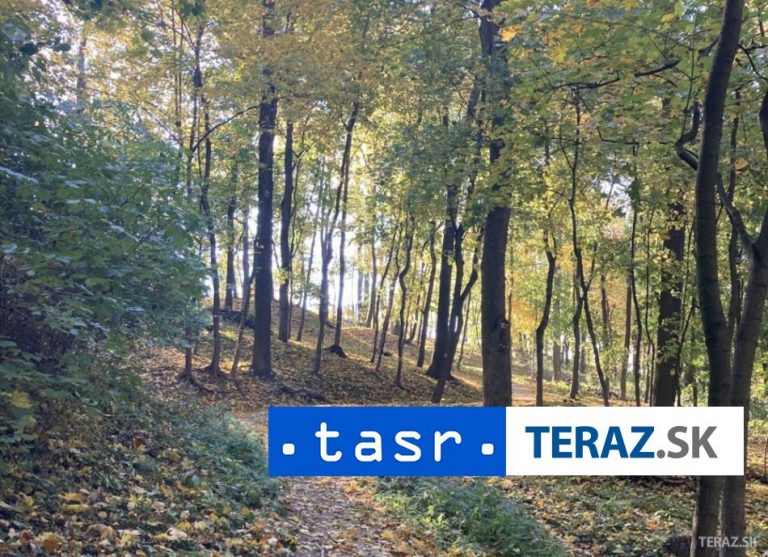 Úrad v Prievidzi odporúča obmedziť pohyb v lesoch na hornej Nitre