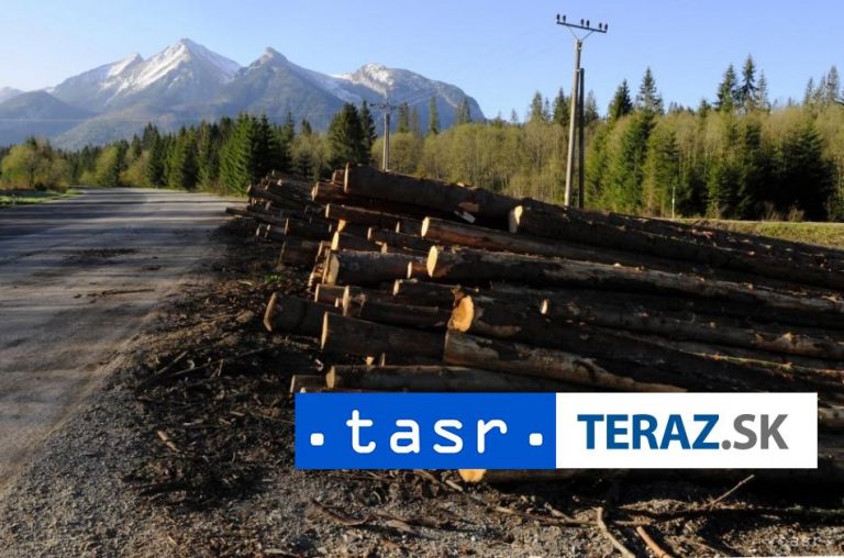 Odstránenie bukov a jedlí je výnimočným prípadom