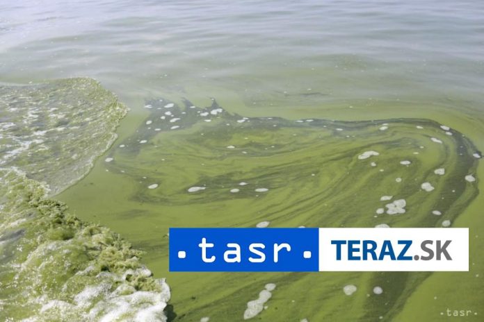 Polsko-bojuje-proti-jedovatym-riasam-v-rieke-Odre-peroxidom-vodika.jpg