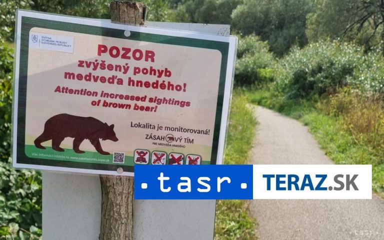 Neďaleko od miesta smrteľného útoku medveďa našli aktivisti vnadisko