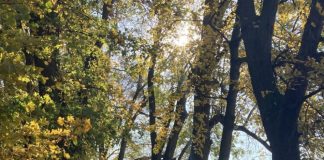 V bratislavskej zoo sa koná Zásadný víkend, budú sa sadiť stromy