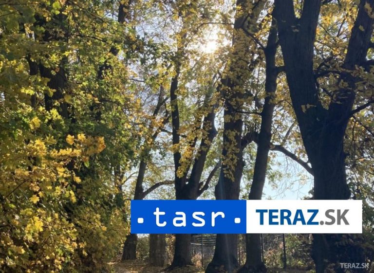 Šmelíková skončila vo finále na strednej trati na 19. mieste