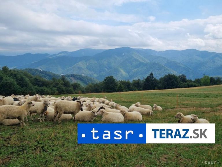 Slovensko sa uchádza o ďalší zápis do zoznamu UNESCO