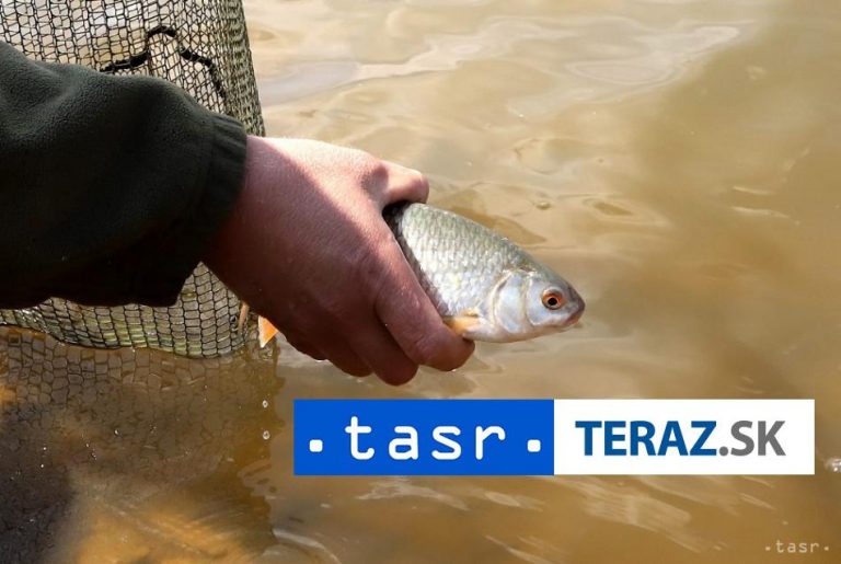 V B. Bystrici otvárajú nový múzejný krúžok, pokračuje aj rybársky