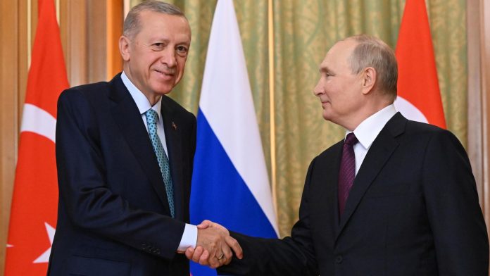 Erdogan-a-Putin-mozu-diskutovat-o-perspektivach-pouzivania-narodnych-mien.jpg