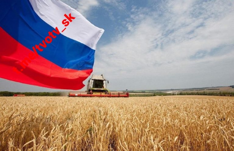 Rusko zvýšilo vývozné clo na pšenicu o 41 % z 1 328,30 RUB na 1 872 RUB za tonu …