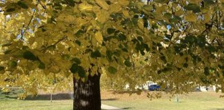 November priniesol slnko, príde aj sneh?