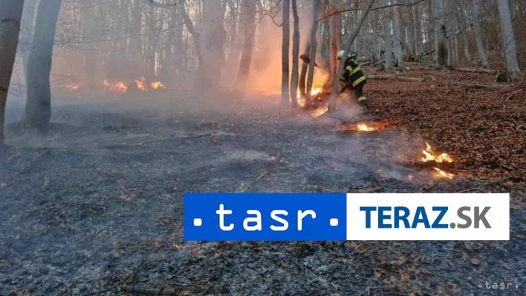 Júlový ničivý požiar na Cypre spôsobil odhodený ohorok z cigarety