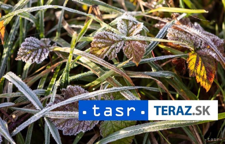 Na strednom a severnom Slovensku sa môže vyskytnúť prízemný mráz