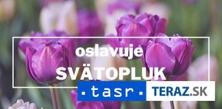 Svätopluk je energický