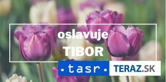 Tibor je spoľahlivý a životaschopný