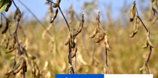 Prezident podpísal novelu o nájme poľnohospodárskych pozemkov