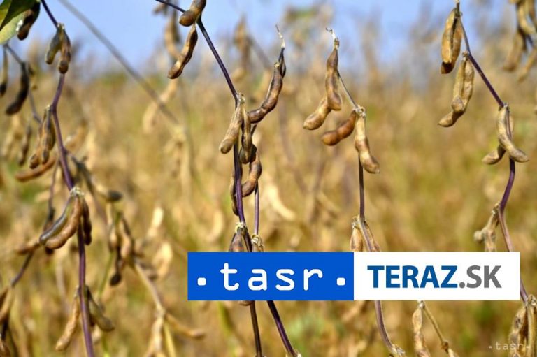 Poľnohospodárstvo dosiahlo vlani zisk pred zdanením 181,4 milióna eur