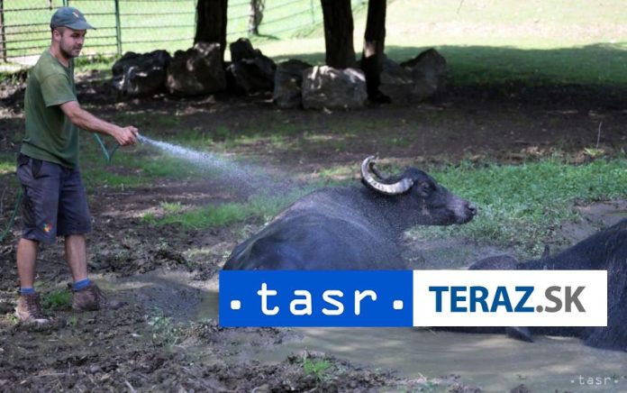 Bratislavska-zoo-apeluje-na-silvestrovske-oslavy-s-uctou-k-zvieratam.jpg