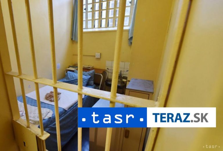 Muža v Rusku usvedčili z vlastizrady a uložili mu 19-ročné väzenie