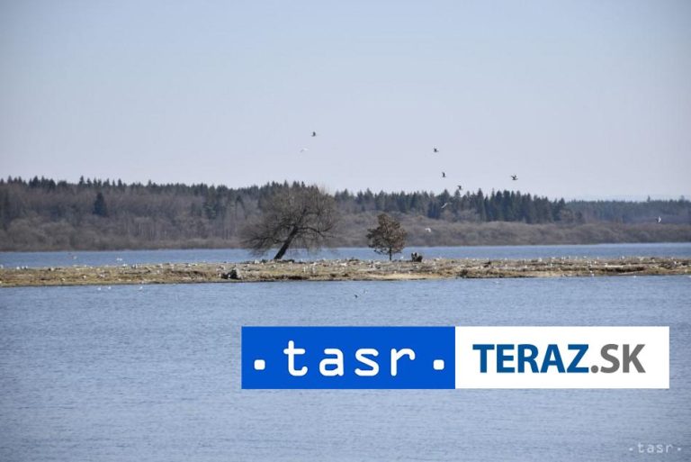 Začína sa druhý ročník sčítavania vtákov na kŕmidlách