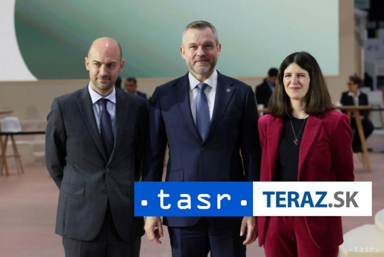 AI na Slovensku by sa mohla aplikovať v rôznych oblastiach