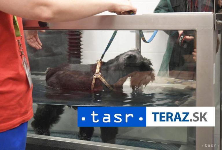 Univerzity veterinárskeho lekárstva a NCZI podpísali spoluprácu