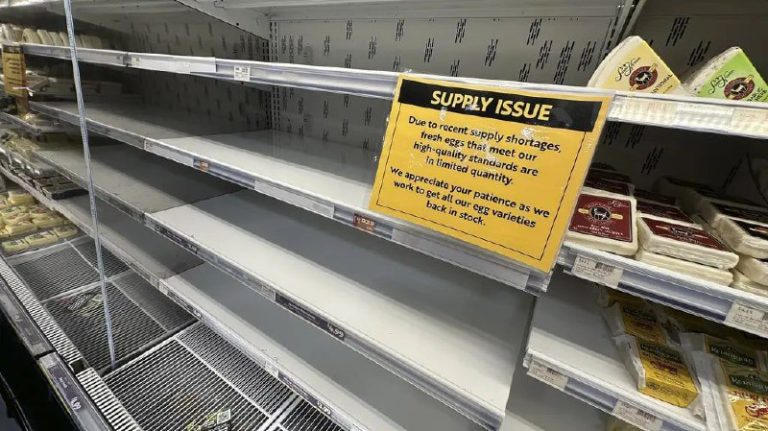 Vajcia nad zlato. Spojené štáty postihla vaječná apokalypsa.Obľúbené pokrmy, ak…