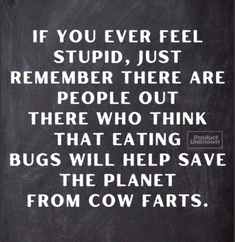 Ak sa niekedy cítiš hlúpy, len si spomeň, že sú vonku ľudia, ktorí si myslia, že…