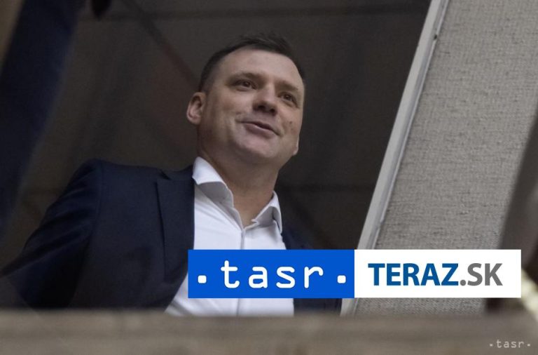 Je potrebné pristúpiť k plošnej regulácii medveďa hnedého