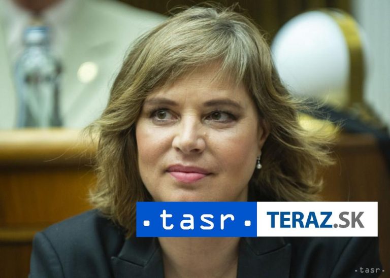 Remišová kritizuje Rašiho za obstarávanie elektronických formulárov