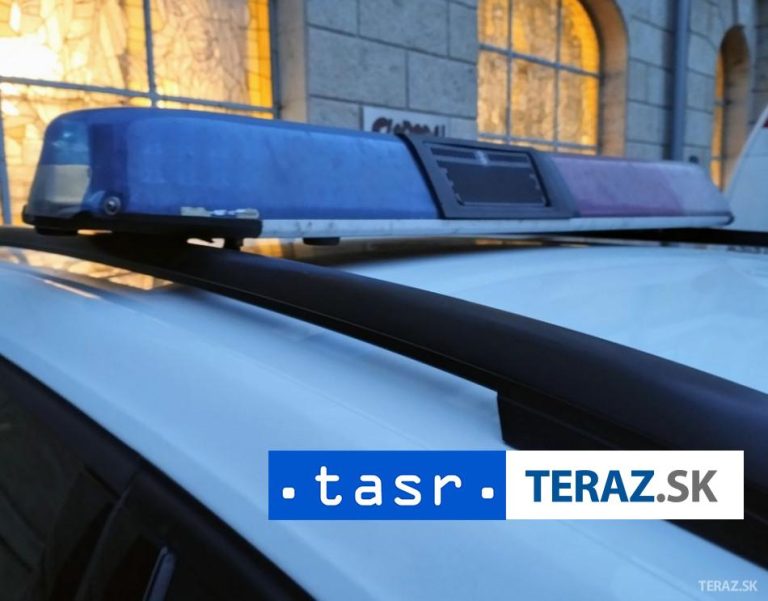 Španielska polícia zaistila desiatky slonovinových predmetov