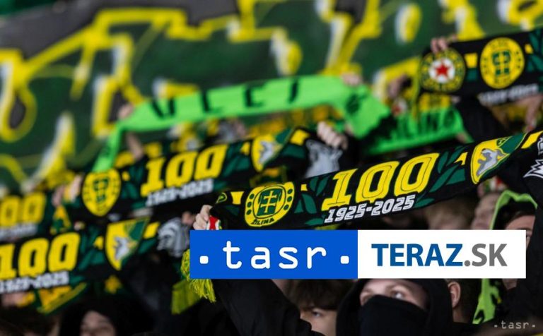 Obranca Djakov pokračuje v Žiline, Skladaný: Skúsený profesionál