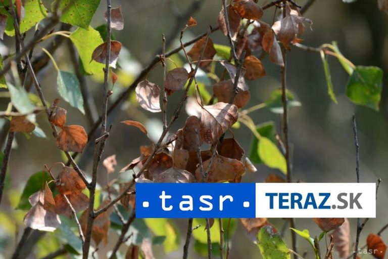 Deň Zeme oslávi Bratislavský kraj v sobotu v Ekocentre Čunovo