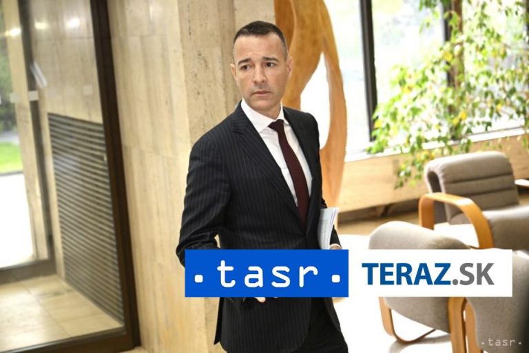 Cesta R. Fica do Moskvy bola skôr v záujme strany Smer ako SR