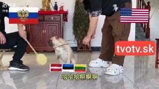 Na-cinskych-socialnych-sietachBaltsky-tigri.jpeg